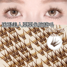xixi�Ժ������������z��ë��Ȼ�pӯ���N���W�������ֶַ�ʽ�ʊy