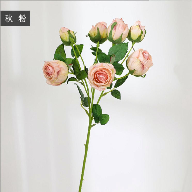 가을 가루