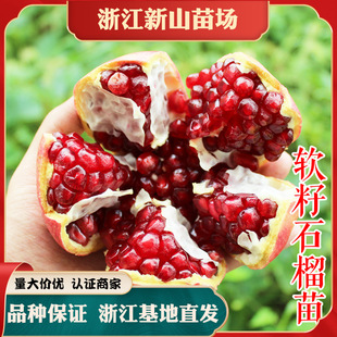 ܛ��ʯ���硾���] 20����l���㽭 ʯ��������l ����ֱ�l