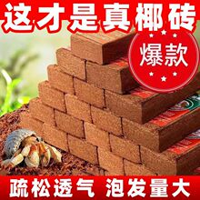 ���o���o�}���M��Ҭ�uˮ��ֲ�����|���|ˮ�������ˮ͸��G�}Ҭ��