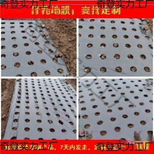Perforated Plastic Film for Agricultural Planting Vegetable-proof Corn Land Perforated Film with Holes Black Film Silver Black Film Non-perforated
