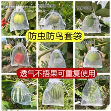 �������oʯ��W���״����ѷ��x�B���Ѳ�ݮ�������仨���o��������