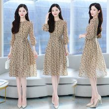 BȹŮ2025¿ľAILѩ黨Bȹ