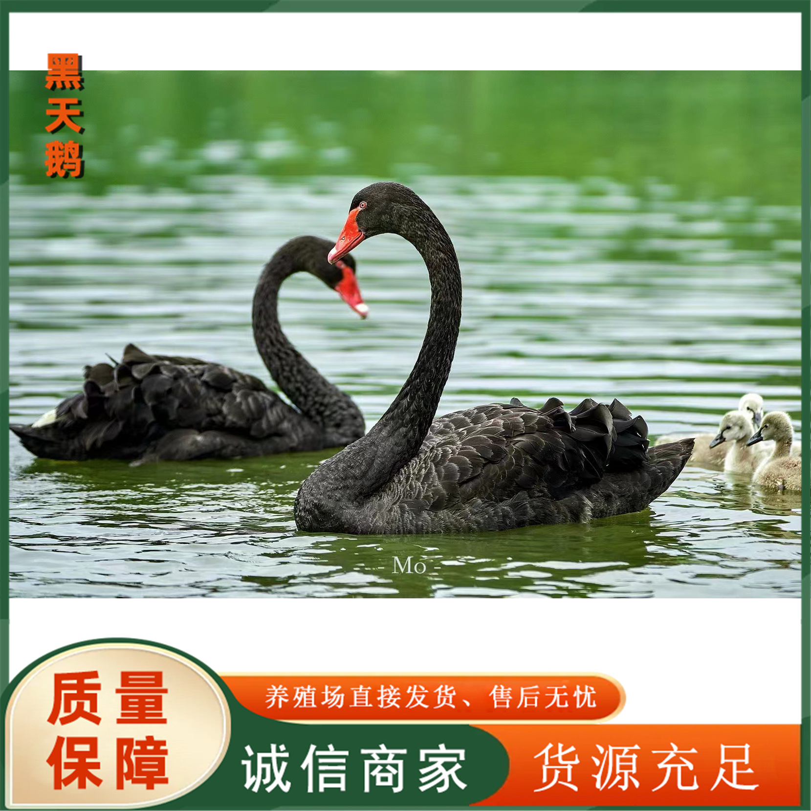 227e8541a841a3dbdbc6503a036c17