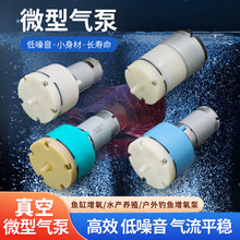 ΢����ձ�12V΢��ؓ����555С���ֱ�6V�Ԅ������370΢�ͳ���