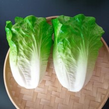 �������˼��߲˰ײ������ļ��������[�����۲˿���S�Ͻz������