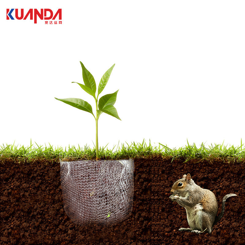 01d2016053159611013e87f413a2cd