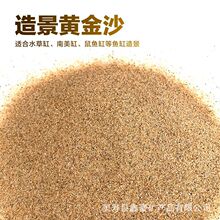 天然黄金沙南美三湖鼠鱼底砂细河沙水草砂鱼缸草缸水陆造景黄金底