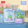 Stars-【Colorful Box】