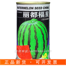 浪潮丽都福星西瓜种子早熟大果花皮麒麟瓜春夏秋季早佳8424美都