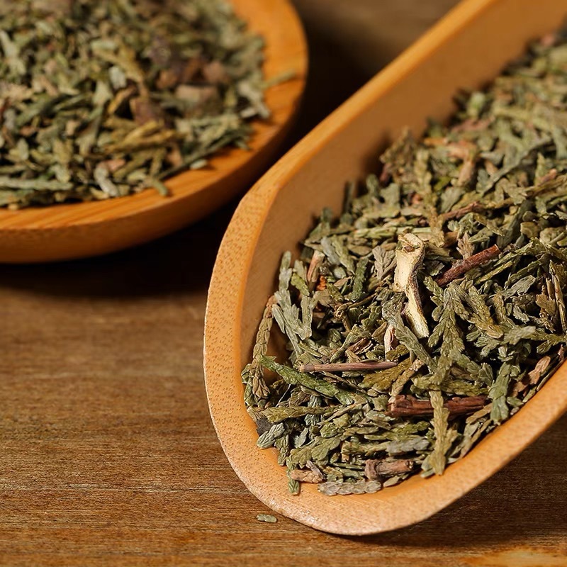 Dried Cacumen Platycladi Leaves Ce Bai Ye 500g Sun Dried Oriental Arborvitae Foliage for Herbal Tea and Decoction quality and texture