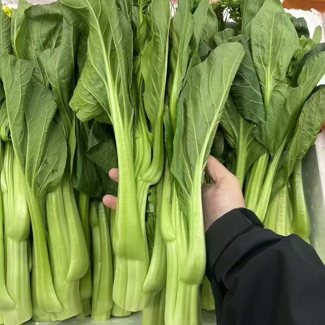 微信图片_20241104214221