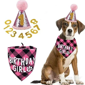 狗狗服装;宠物围巾;场地布置道具