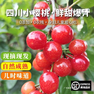 �Ĵ�܇����С�������rˮ���ЋD������֦�������خa����������؃�