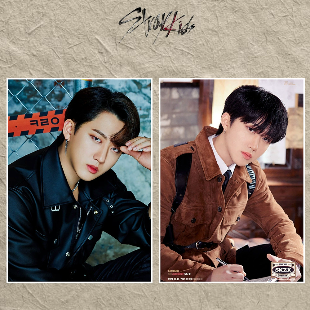 Странники (Stray Kids) встреча поклонников SKZ-X постер стикер-плакат фотографии SKZ олень патч патч