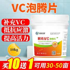 VC泡腾片水产养殖高稳VC应激灵鱼虾蟹诱食维生素电解多维抗应激王