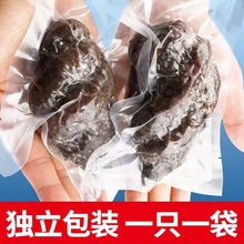 Ұ���������ô�t�O��500g/���������l���|���B��ʳ�����̅��Y��