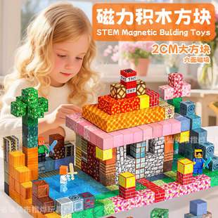 Cross-Border Amazon Original Forest Series My Magnetic World Cube Mc Assembly Construction Educational Kidsren's Gift