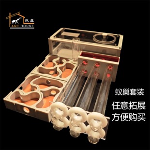 ρ�����b ρ�� �º�СȺƽ��3D������ʯ����չ�ѯBρ���W����Λρ