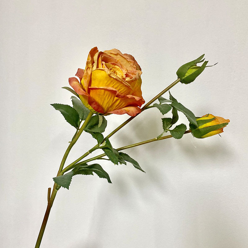 微信图片_20230317234751