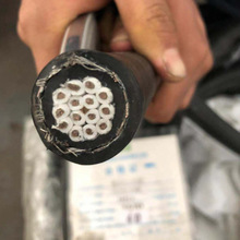 TRVV7*0.5�����|