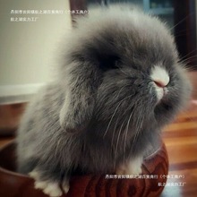 С���ӻ��w�L���󴹶���������؈С��٪���ò豭�Ì��﹫��С����