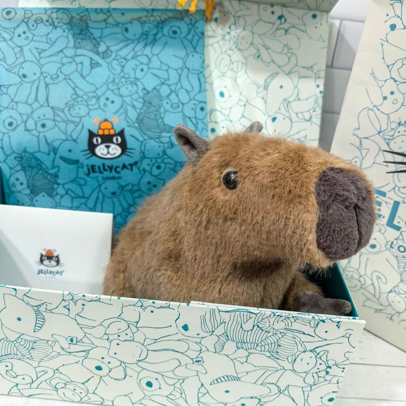 現物イギリスJCクライドカピバラ人形ぬいぐるみプレゼントモルモット人形メーカー卸売り|undefined