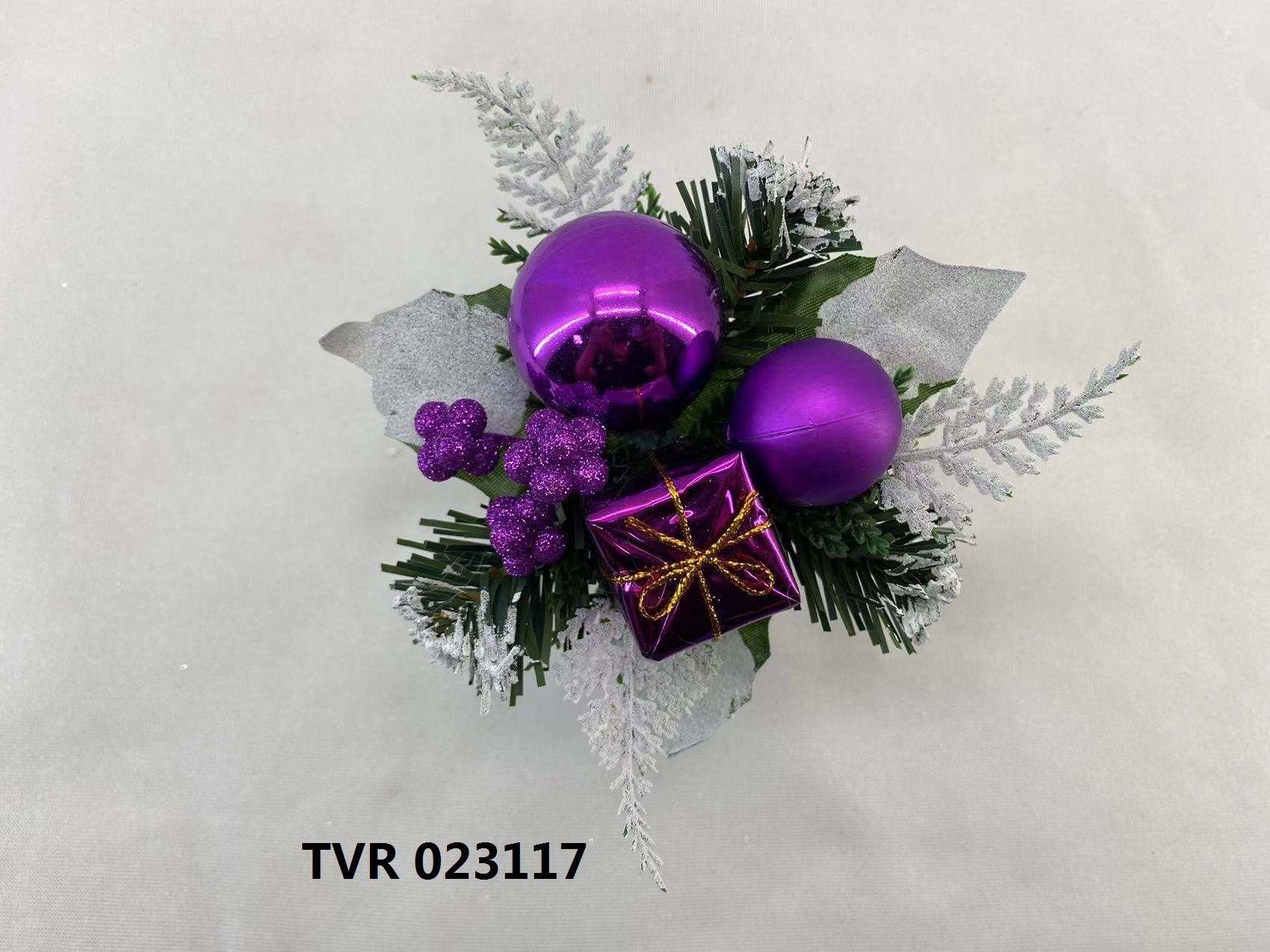 TVR 023117