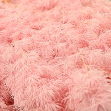 ?���������R�ɻ�cܛ�bdiy���ϼҾӲ廨���W�L�滨���p�ݻ�