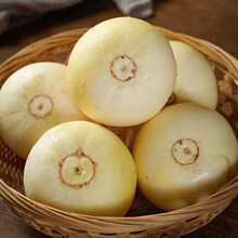 ɽ�|�^��С�۷���������������R�Bׯ�۹���������r����ˮ��