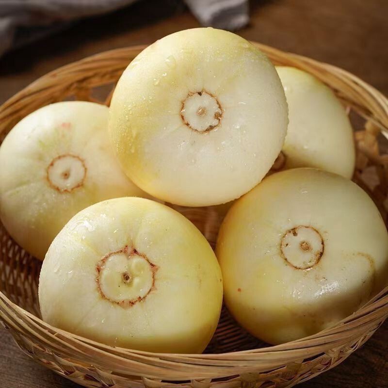 Shandong's First Crop of Sweet Melons: Star Sweet, Early Sweet and Crisp Melons, Malianzhuang Honey Pot, Yugu Fragrant Melons, Fresh Seasonal Fruits Shandong's First Crop of Sweet Melons: Star Sweet, Early Sweet and Crisp Melons, Malianzhuang Honey Pot, Yugu Fragrant Melons, Fresh Seasonal Fruits