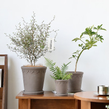 ���_�R�ɫ���豱�W�L�ҾӺ��s����ˮ��ֲ�����莧�бP��С̖