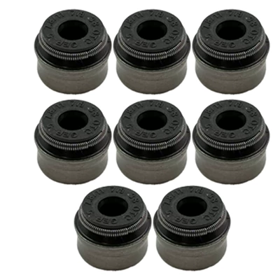 Cylinder and parts Overhaul Kit Full