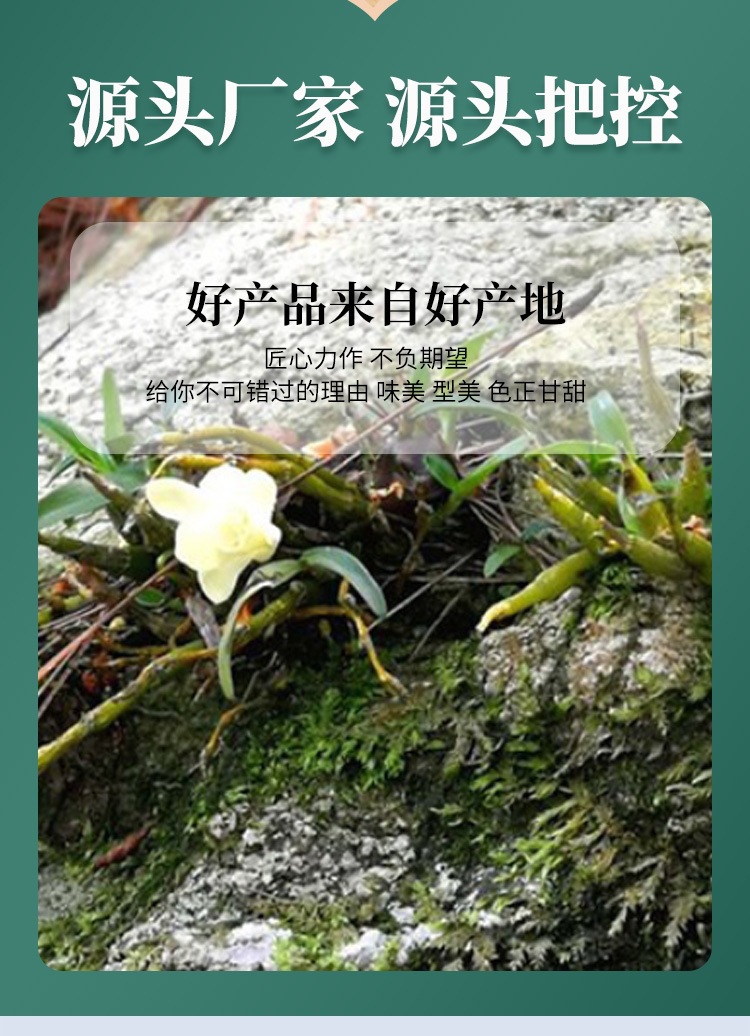Dendrobium Flower Tea Huo Shan Tie Pi Shi Hu Hua 100g Dried Herbal Flowers for Tea and Soup overview