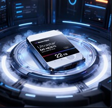 �������������ݣ�WD����ҵ������Ӳ�� 22TB WUH722222AL5204����
