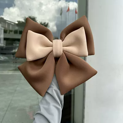 Electric Vehicle Ornament, Rear Seat | Other Automotive Interior Supplies - brown-and-apricot-two-colors-big-bow