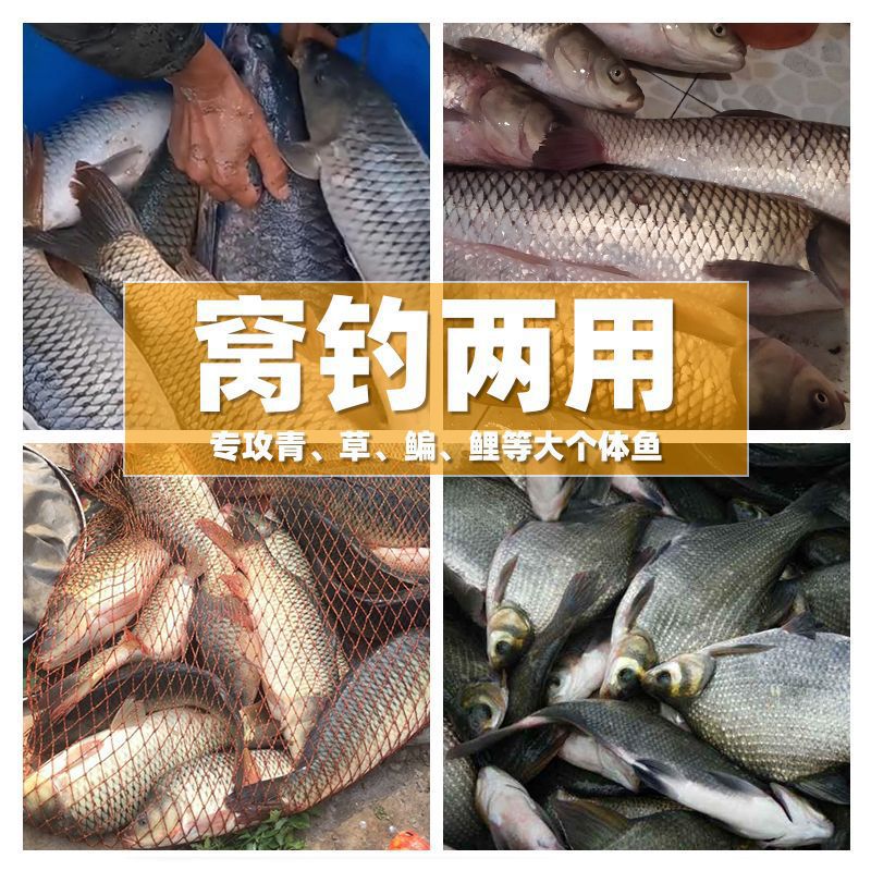 Granulares de torta de colza, señuelo para peces, señuelo para anidación, granulares de pescado, carpa, carpa, carne, productos de pesca, comercio exterior