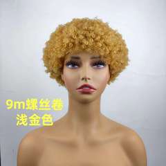 Short Hair Afro Kinky Curly Wigs For Women 100g爆炸头真人发