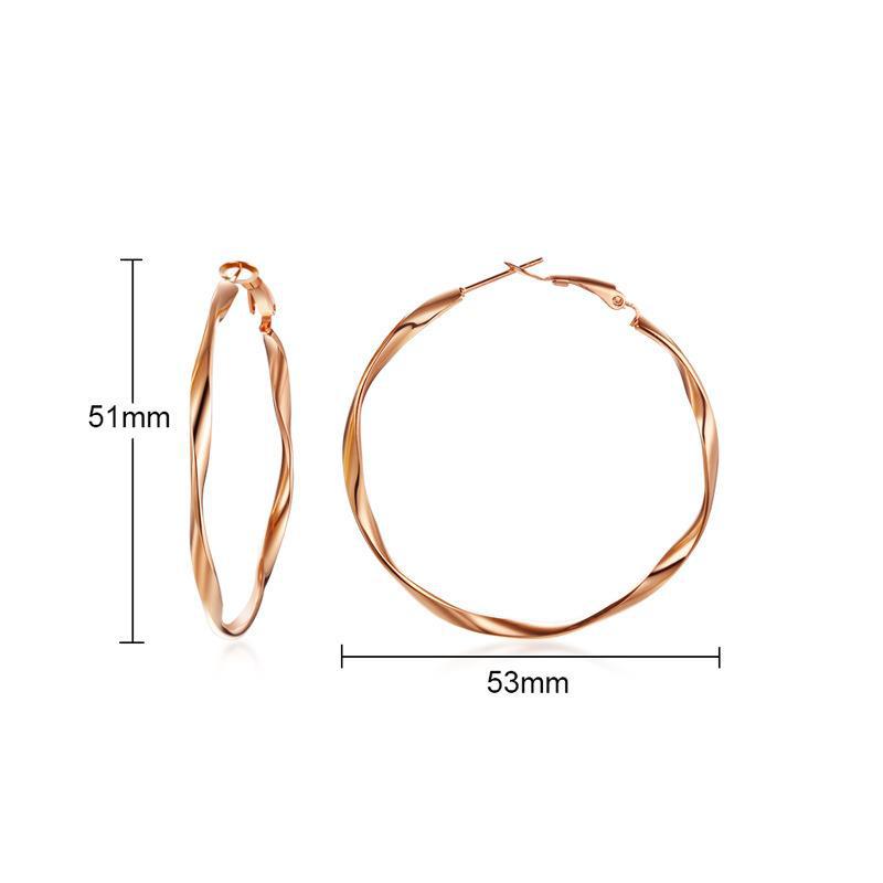 Hoop Earrings Classification 1 Pair Simple Style Circle Plating 304 Stainless Steel Stainless Steel Earrings