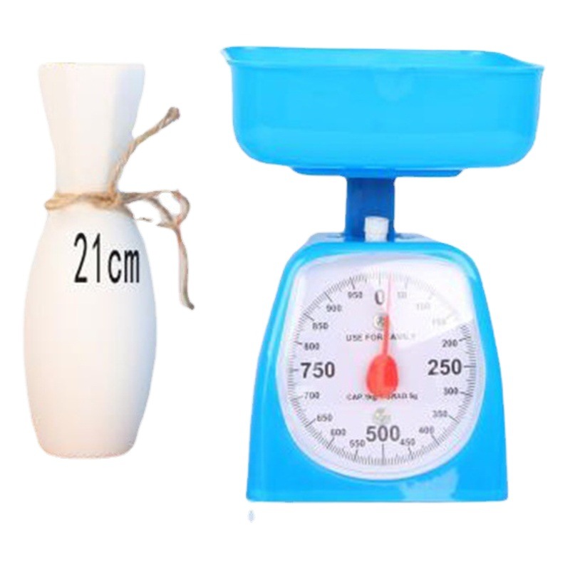 Household kitchen scale stainless steel scale spring dial scale mechanical spring scale manufacturers