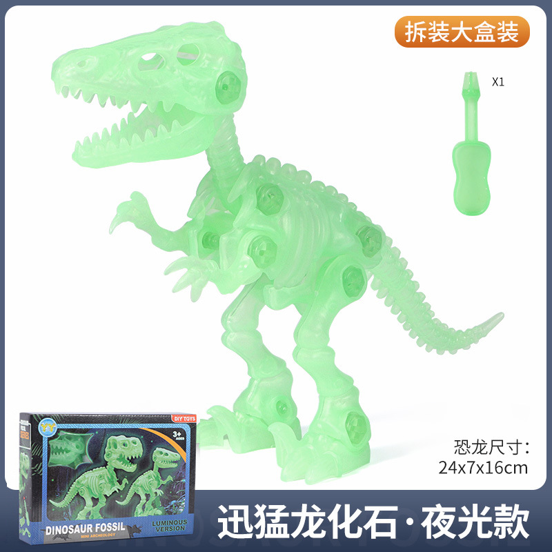 Raptor skeleton luminous style (window box)