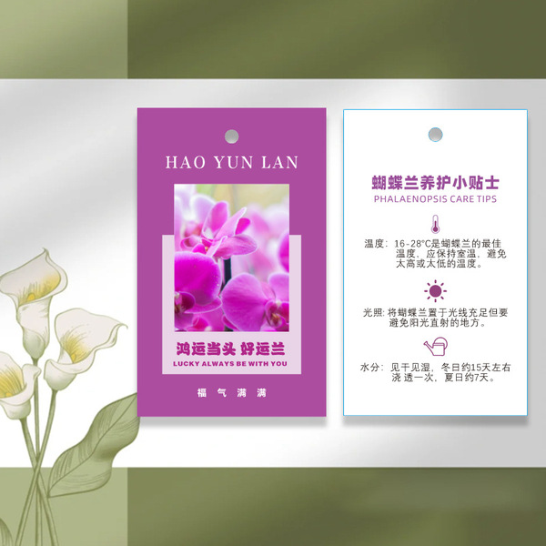 Phalaenopsis plant hanging card