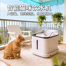 跨境专供宠物饮水机静音智能猫咪饮水机无线续航食品材料黄金大容