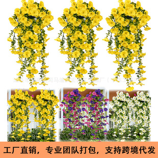 �羳���滨���젿ţ����������ͥԺ��Y�bҒ��ȼ����ٗl���Ȼ�