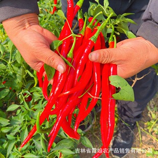 �|���μt���������������@�����¸�Ư��߀�ó�