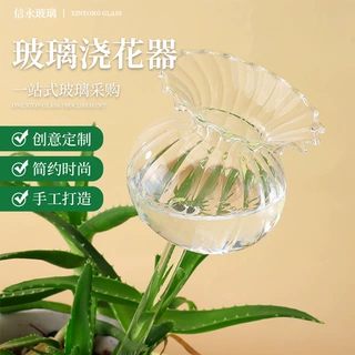 定制高硼硅玻璃工艺品 玻璃许愿瓶 漂流瓶 管制瓶 玻璃浇花器定制