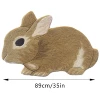 Rabbit, carpet