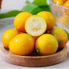 广西脆皮金桔新鲜桔子应当季现摘甜蜜小金柑桔金橘融安特产代发