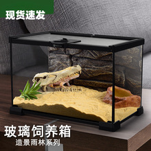 好贝玻璃爬缸蜥蜴蛇甲虫乌龟陆龟爬宠爬虫角蛙饲养箱盒专用缸鱼缸