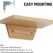 ��ľ�ռ{�ܱڒ�����Gֲ�bܿ͏d����һ�ָ���ľ�|�����